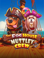 เงินฟรี วิธีเล่นบาคาร่า sbobet ที่คุณไม่ควรพลาด!